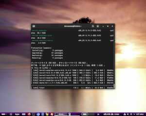 fedora42-003.jpg