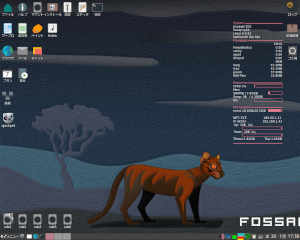 fossapup64-01