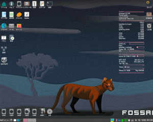 fossapup64_95.jpg