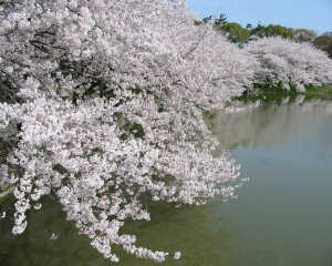 img-0506