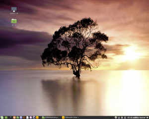 linuxmint193-01