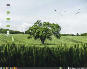 linuxmint20-01