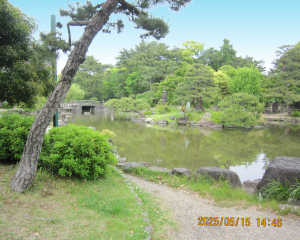 turumai-003.jpg